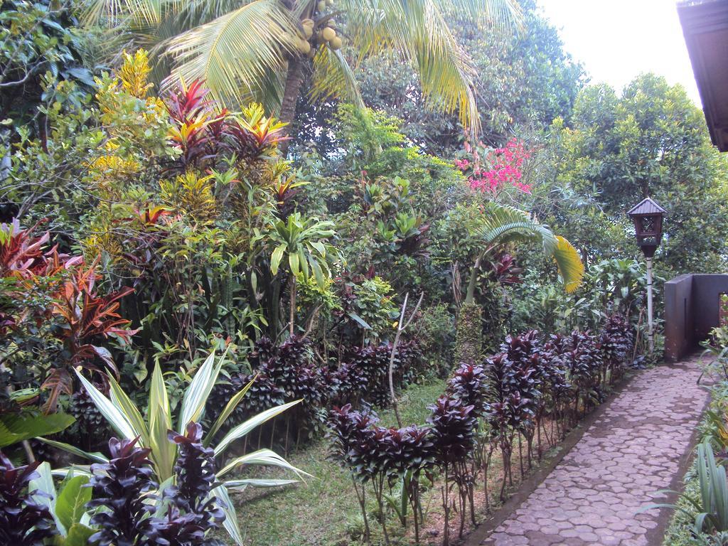 Made Homestay Munduk 외부 사진
