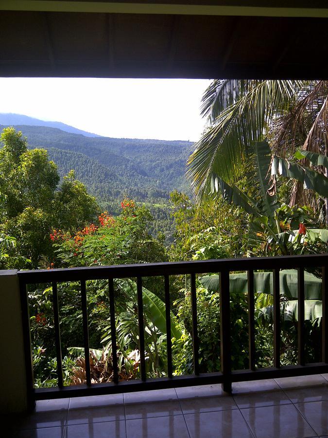 Made Homestay Munduk 외부 사진
